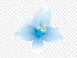 Search more hd transparent blue flower image on kindpng. Large White Lilium Clipart White Blue Flower Png Transparent Png 153136 Pikpng