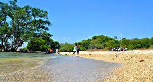 Pantai kutang ini pemandangannya semakin eksotis dengan adanya hutan mangrove di area pinggir pantai. Wisata Pantai Kutang Di Brondong Dimana Ya Kaskus