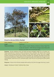 Check spelling or type a new query. Koleksi Pokok Taman Botani Kepong Pages 201 249 Flip Pdf Download Fliphtml5