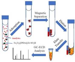 In gas chromatography (gc) we inject the sample, which may be a gas or a liquid, into an gaseous mobile phase (often called the carrier gas). Sulfonic Acid Based Metal Organic Framework Functionalized Magnetic Nanocomposite Combined With Gas Chromatography Electron Capture Detector For Extraction And Determination Of Organochlorine Sciencedirect