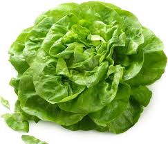 Salade Verte Epicee La Cuisine Sans Lactose Recettes Minceur Recette Epinards Laitue