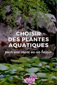 Check spelling or type a new query. Choisir Des Plantes Aquatiques Pour Une Mare Ou Un Bassin Promesse De Fleurs