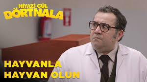 Niyazi gül dörtnala full izle. Niyazi Gul Dort Nala Hayvanla Hayvan Olun Youtube