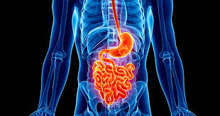 The biliary system, also called the biliary tract or biliary tree, is a system of ducts (narrow tubular structures), organs (including the liver, gallbladder, and pancreas), and associated structures that function to produce, store, secrete, and transport bile. Pancreatic Biliary Surgery Cedars Sinai