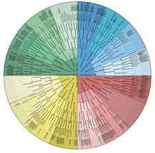 Genealogy Wall Charts