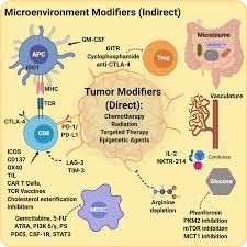 Maybe you would like to learn more about one of these? The Future Of Cancer Immunotherapy Microenvironment Targeting Combinations Cell Research