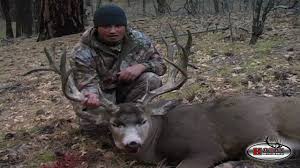 He has had a leading role with koury. Giant 244 Inch Kaibab Mule Deer Youtube