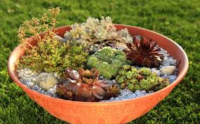 The standard layout for a rock garden consists of a pile of aesthetically arranged rocks in different sizes. Creative Design Ideas For Diy Rock Garden Zameen Blog