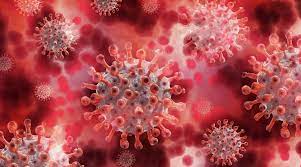 The lambda coronavirus variant is circulating in south america at high rates, and one study showed some vaccines to be less effective against it. China Reports First Case Of New Coronavirus Variant Cdc Publication World News The Indian Express