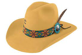 Yellow Is On Trend For Summer Cowgirl Magazine Cowgirl Hats Western Cowboy Hats Purple Fascinator