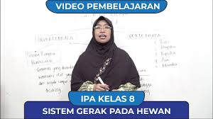 Bagi kamu yang sedang mencari rangkuman materi ips untuk jenjang smp kelas 8 kurikulum k13 revisi terbaru, di website ini kami menyediakan rangkuman materi lengkap, dari kelas 7, 8, dan 9. Video Pembelajaran Ipa Smp Kelas 8 Python