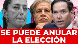 México necesita que el pueblo se organice y vea la realidad": Gloria Brito 