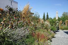 Wir wünschen euch auch schöne ferienzeit 🙂. Privatgarten In Rheinfelden Avantgarten