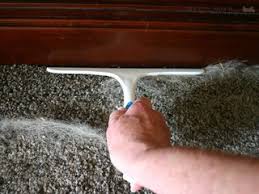 Depending on the type of fur that your pet has and the type. How Do I Effectively Remove Dog Hair From Carpets Lifehacks Stack Exchange