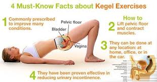 Kegel Exercises Are Amazing For Men And Women But How Can Men Perform Them Learn Here Kegel Exercise Pelvic Floor Kegal Exercises