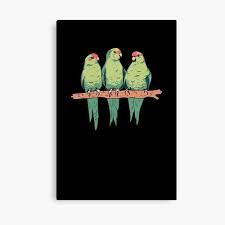 Lienzos: Chicas Loro