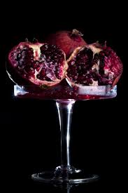 Florence VINCENT Portfolio