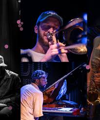 Image result for Commelina saxosa