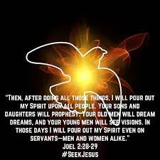 Pin By Giselle Aguiar On Seek The Truth My Spirit Prophesy New Living Translation