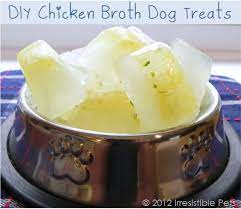 Diy Frozen Chicken Broth Dog Treats Frozen Dog Treats Frozen Dog Treats Homemade Dog Food Recipes