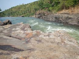 Image result for Inversodicraea