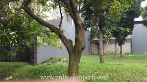 Rp 59.000.000 dijual tanah kavling murah dibogor lokasi nempel jalan. Jual Tanah Kavling 312 M2 Bintaro Sektor 9 Tangerang Selatan Pr1515 Onlineproperti Com