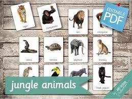 Jungle Animals 22 Editable Montessori Cards Flash Cards Etsy In 2021 Jungle Animals Animal Action Picture Cards