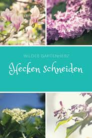 Hecken Schneiden Pflegetipps Pflanzen Unkraut Im Garten Straucher Garten