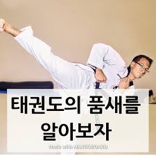 어차피 1장은 품새대회에서 나오지 않긴 하지만. íƒœê¶Œë„ í'ˆìƒˆ ì¢…ë¥˜ë¥¼ ì•Œì•„ë³´ìž