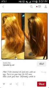 So, what can you do to prevent that from happening? Dry Hair Hair Masks For Dry Damaged Hair Hair Homemade Hair Mask