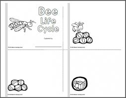 Bee Life Cycle Worksheets Bee Life Cycle Life Cycles Bee