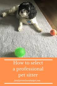 We all want the best for our pets, but even the most devoted pet parent needs to keep their budget in mind. Dog Care Guide For Pet Sitters Family Travels On A Budget