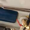 Water heater isn't heating or heats poorly? Https Encrypted Tbn0 Gstatic Com Images Q Tbn And9gctkpt82lpo Gzh9cv6qxphv Jszi9ukxh1mirwgryyq5t 4at7x Usqp Cau