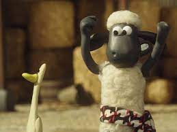 Woi iri bilang bos cewe ya bilang; Prime Video Shaun The Sheep Championsheeps