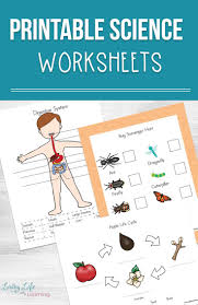Science worksheets listed by specific topic area. Printable Science Worksheets For Kids