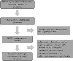 Frontiers | Do Metastatic Kidney Cancer Patients Benefit From Cytoreductive  Nephrectomy? A Real-World Retrospective Study From the SEER Database