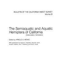 Gave a really good cut to my boy. The Semiaquatic And Aquatic Hemiptera Of California Heteroptera