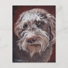 Since then, the demand for this breed has led to their appearance all over the world. Labradoodle Gifts Gift Ideas Zazzle Uk