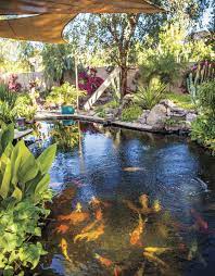 Maybe you would like to learn more about one of these? Build A Better Pond Phoenix Home Garden