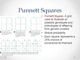 This genetic trait is an example of a completely dominant trait where an animal needs just one copy of the polled gene in order to show the polled. 5 2 Studying Genetic Crosses Sbi 3 U