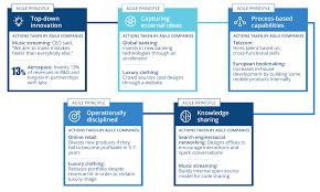 Lesson 2 Why Agile Lessons Mckinsey Academy Agile Agile Scrum Digital Transformation