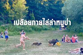 ภาพฮาแห งป น กเปล อยกายว งไล ตามหม ป าฉกแล บท อ อะเดล
