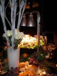 Maybe you would like to learn more about one of these? Black Swan Catering Company Catering Houston Catering Houston Texas Catering In Houston Catering Spring Texas Catering The Woodlands Texas Caterers Houston Spring Texas Caterer Houston Caterer Woodlands Caterers Houston Caterers Houston