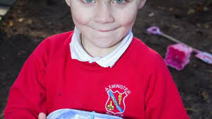 Axminster Primary Academy creates a new garden space