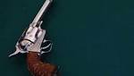 woman sprayed with eight bullets