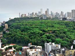 Reduce no-fly zone over Tower of Silence'