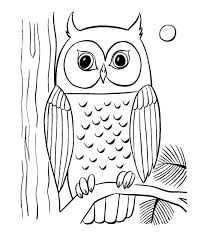 Free coloring pages to print or color online. 70 Animal Colouring Pages Free Download Print Owl Coloring Pages Animal Coloring Pages Bird Coloring Pages