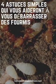 4 Astuces Simples Qui Vous Aideront A Vous Debarrasser Des Fourmis Jardinage Potager Fourmis Jardins