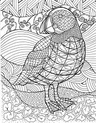 Looking for free coloring pages for adults? Puffin Zentangle Coloring Page Coloring Pages Bird Coloring Pages Coloring Books
