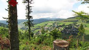 Den alltag hinter sich lassen, die hektik vergessen. Haus Keller Ferienwohnungen In Todtnau Todtnauberg Im Schwarzwald Ferienwohnungen Appartement Ferienhaus